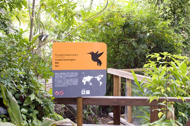 🏞️ 쇼난호 비오파크(쇼난코 비오파크) 이미지 5